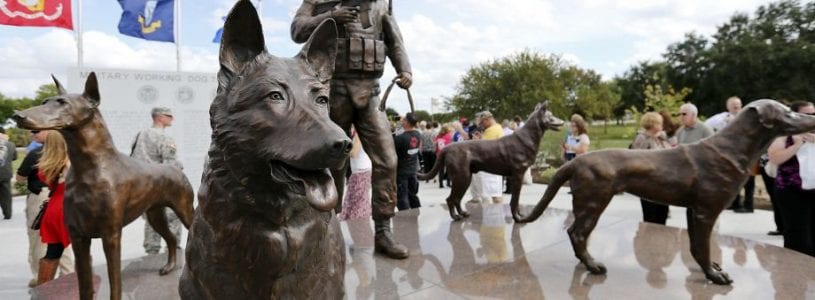 Memorial Day Dogs