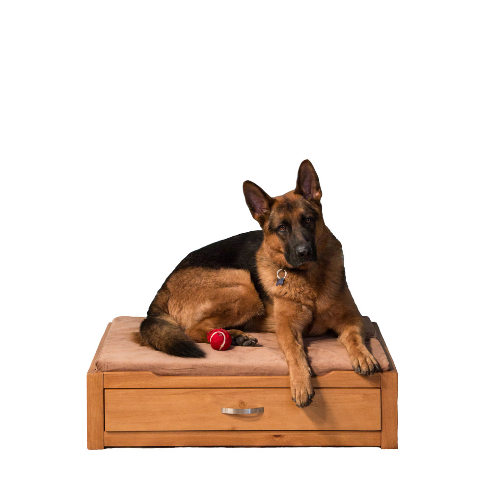 Natural Dog Storage Bed with Camel Cushion